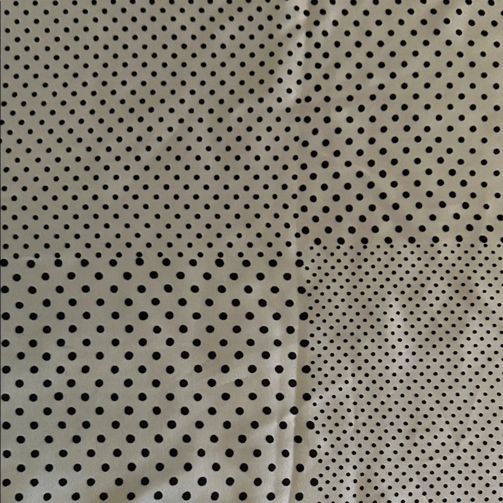 Vera Neuman Black and White Polka Dot Scarf - Picture 5 of 8